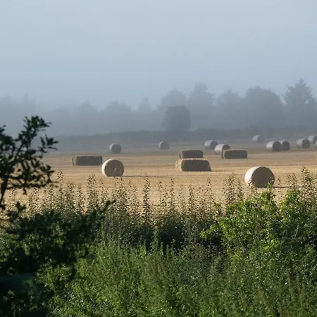 High Park Farm