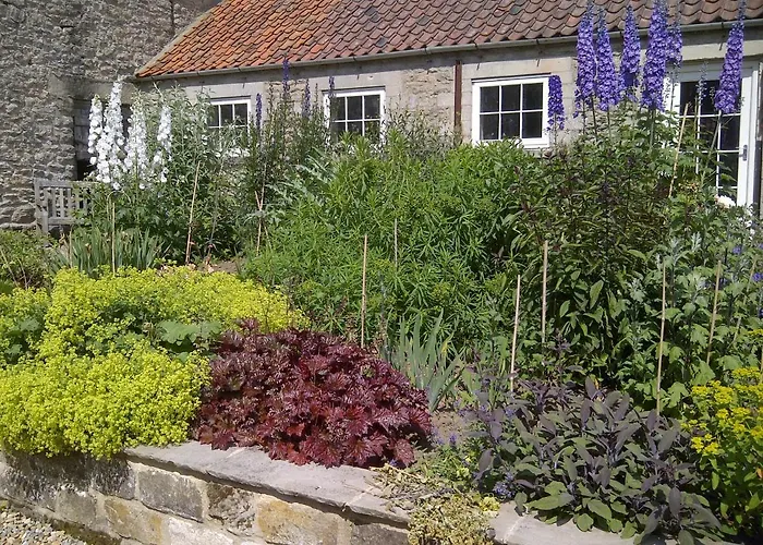 High Park Farm Farm stay